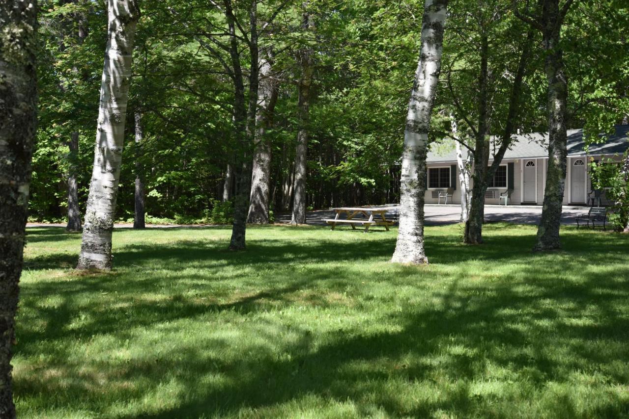Acadia Pines Motel バー・ハーバー エクステリア 写真